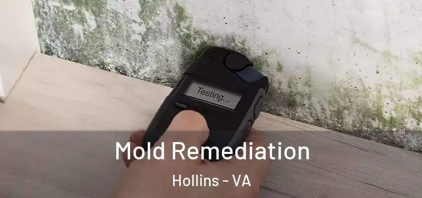 Mold Remediation Hollins - VA