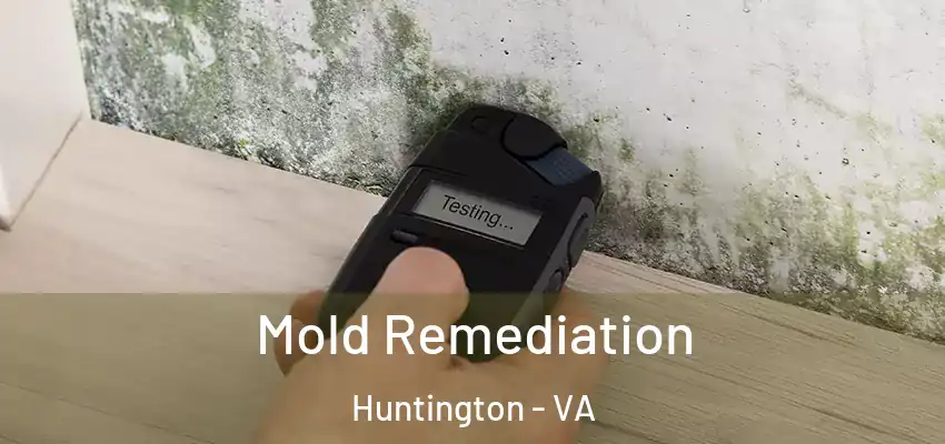 Mold Remediation Huntington - VA