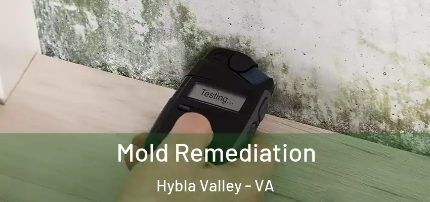 Mold Remediation Hybla Valley - VA