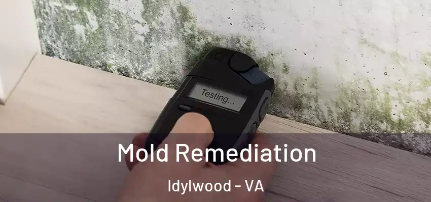 Mold Remediation Idylwood - VA