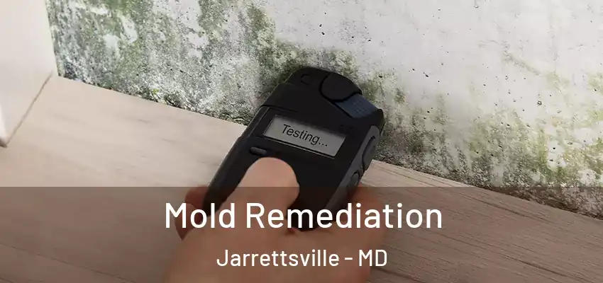  Mold Remediation Jarrettsville - MD