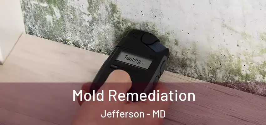 Mold Remediation Jefferson - MD
