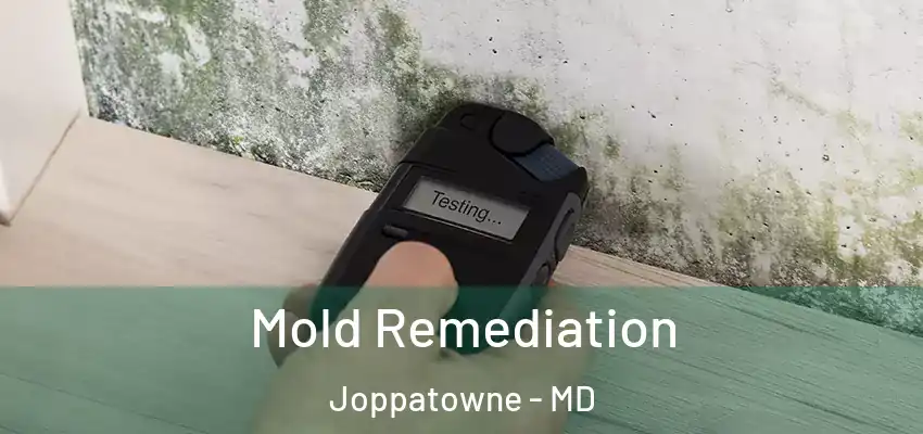 Mold Remediation Joppatowne - MD