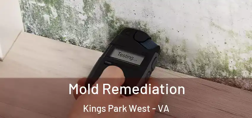  Mold Remediation Kings Park West - VA