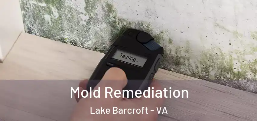  Mold Remediation Lake Barcroft - VA