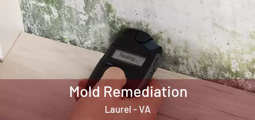 Mold Remediation Laurel - VA
