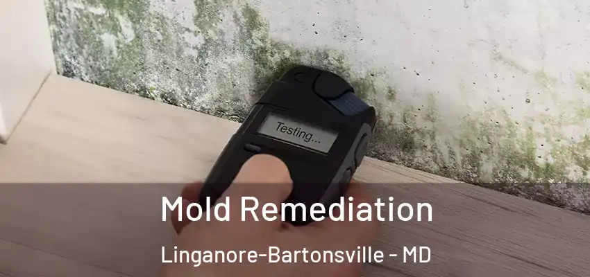 Mold Remediation Linganore-Bartonsville - MD