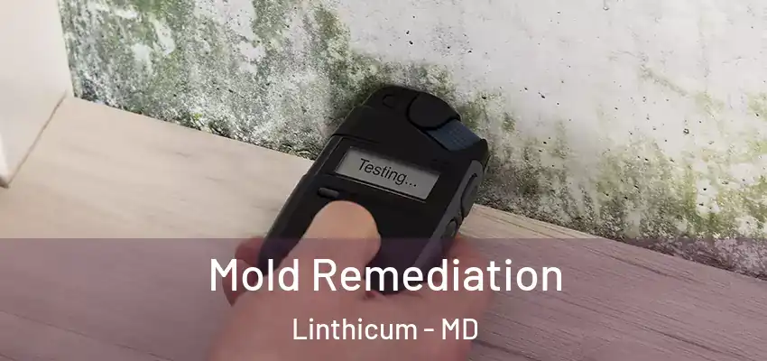 Mold Remediation Linthicum - MD