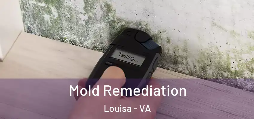  Mold Remediation Louisa - VA