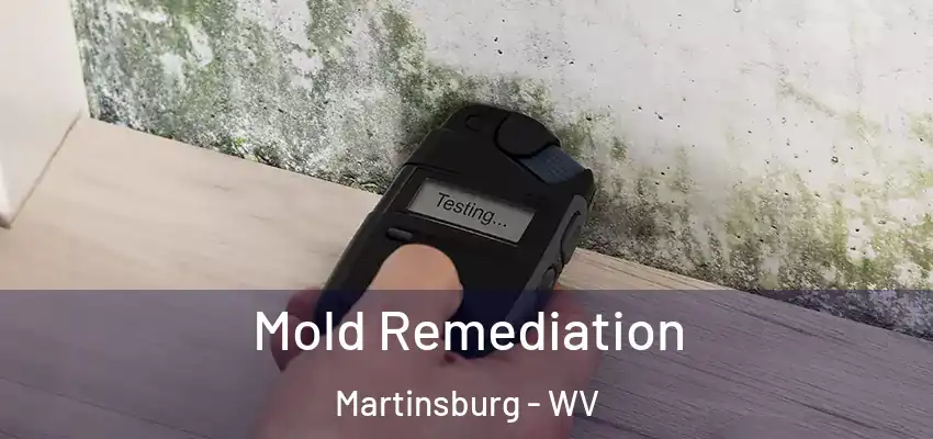 Mold Remediation Martinsburg - WV