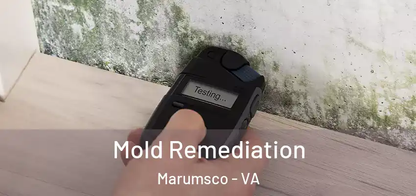 Mold Remediation Marumsco - VA