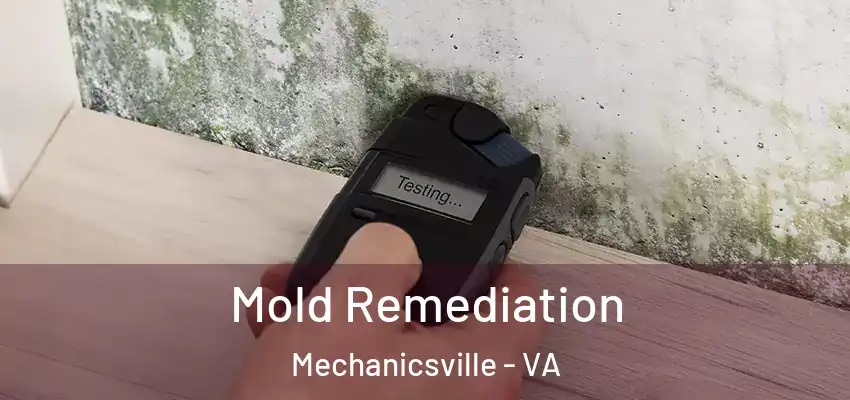 Mold Remediation Mechanicsville - VA