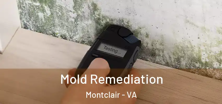 Mold Remediation Montclair - VA