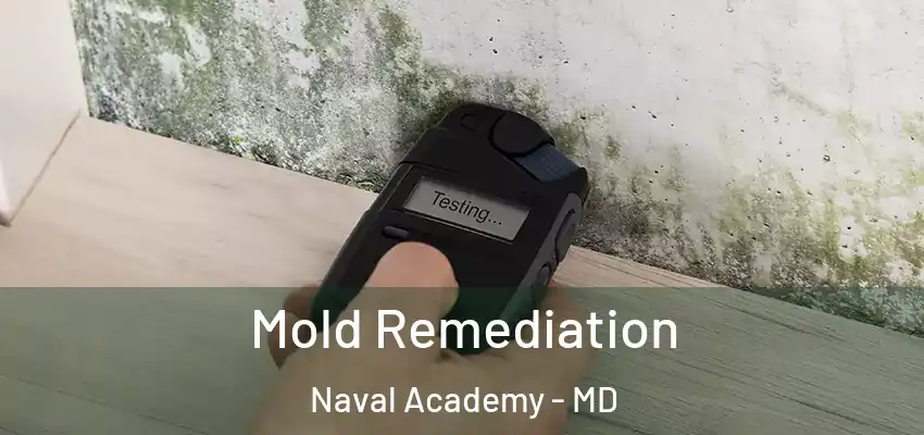Mold Remediation Naval Academy - MD