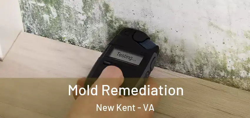 Mold Remediation New Kent - VA