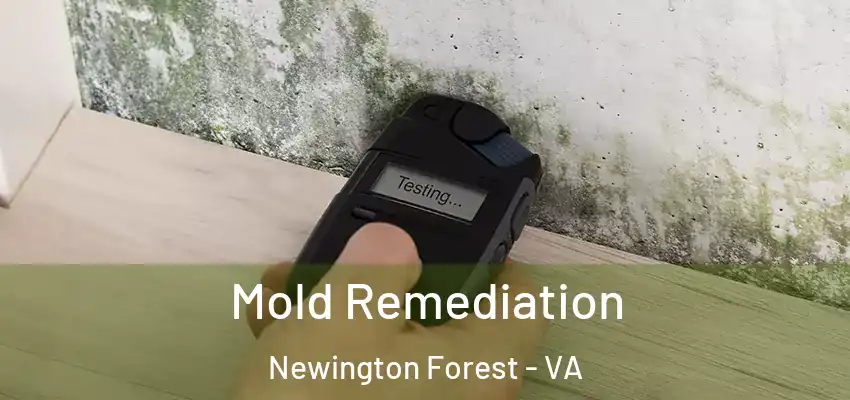 Mold Remediation Newington Forest - VA