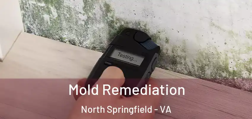 Mold Remediation North Springfield - VA