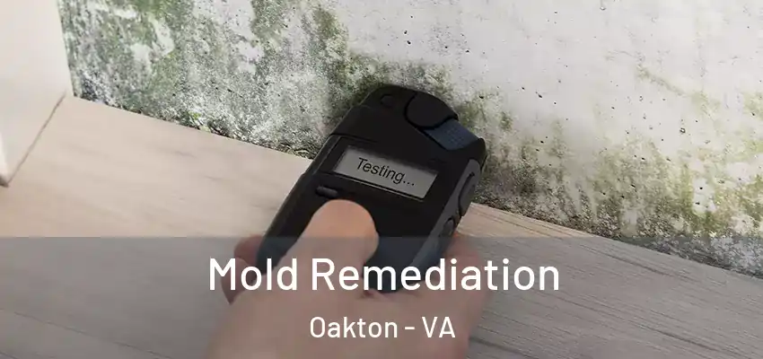  Mold Remediation Oakton - VA