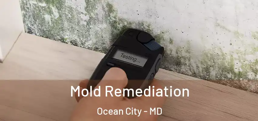 Mold Remediation Ocean City - MD