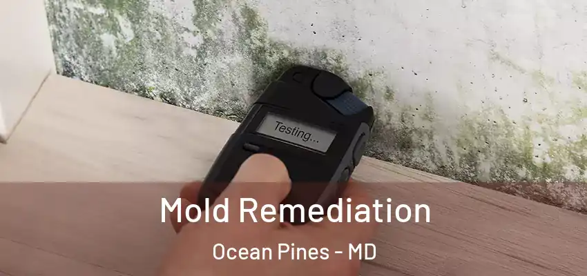 Mold Remediation Ocean Pines - MD