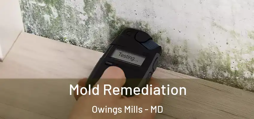 Mold Remediation Owings Mills - MD
