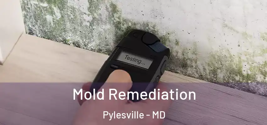  Mold Remediation Pylesville - MD
