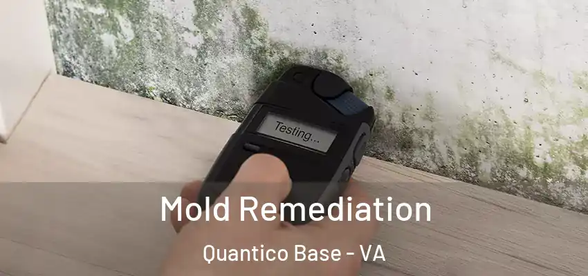  Mold Remediation Quantico Base - VA