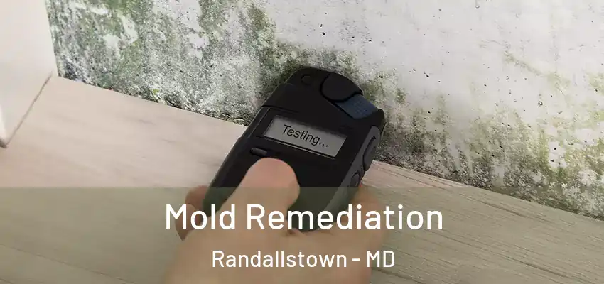  Mold Remediation Randallstown - MD