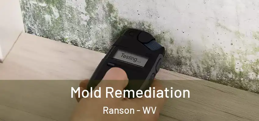 Mold Remediation Ranson - WV