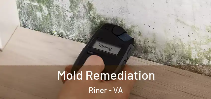 Mold Remediation Riner - VA