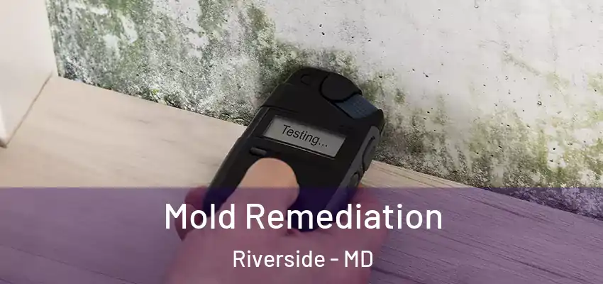 Mold Remediation Riverside - MD