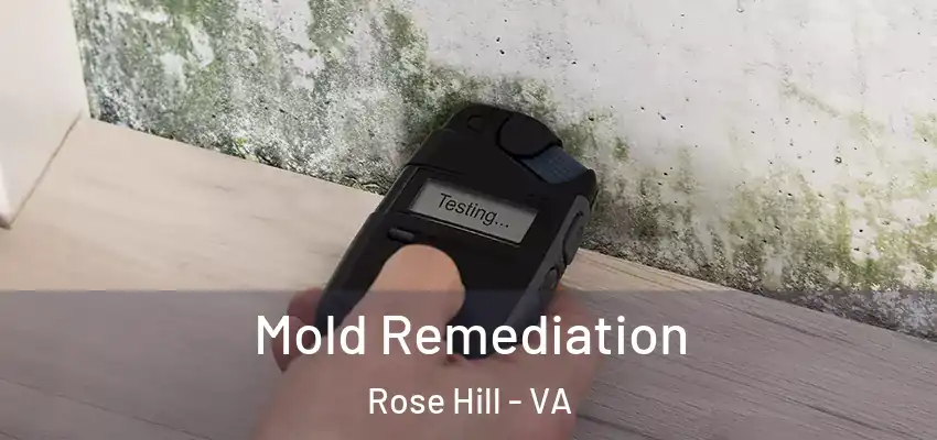  Mold Remediation Rose Hill - VA