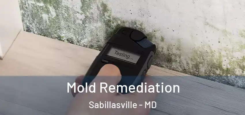 Mold Remediation Sabillasville - MD