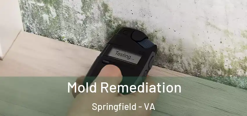  Mold Remediation Springfield - VA