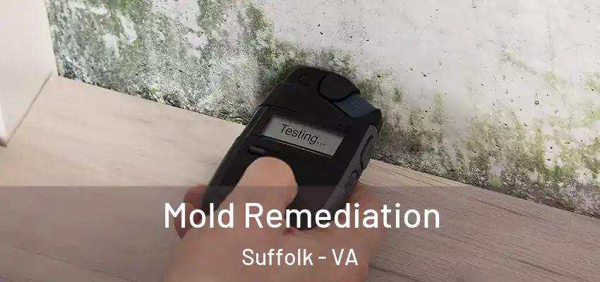 Mold Remediation Suffolk - VA