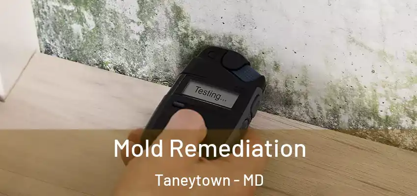  Mold Remediation Taneytown - MD