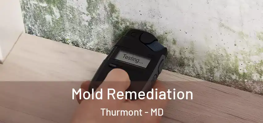  Mold Remediation Thurmont - MD