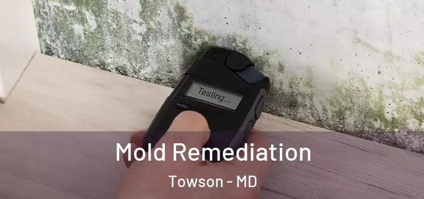 Mold Remediation Towson - MD