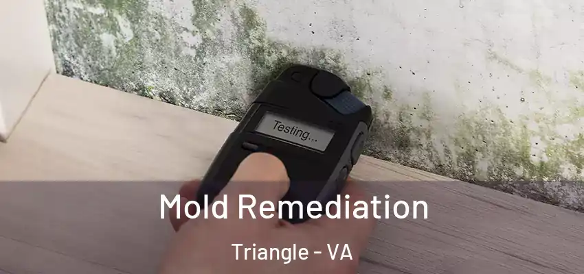  Mold Remediation Triangle - VA