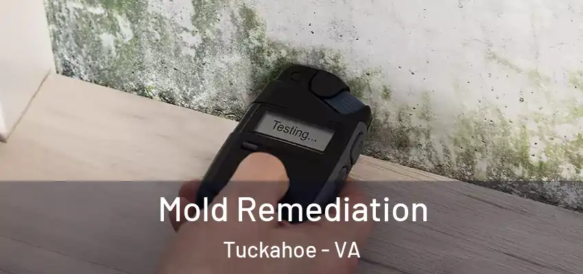  Mold Remediation Tuckahoe - VA