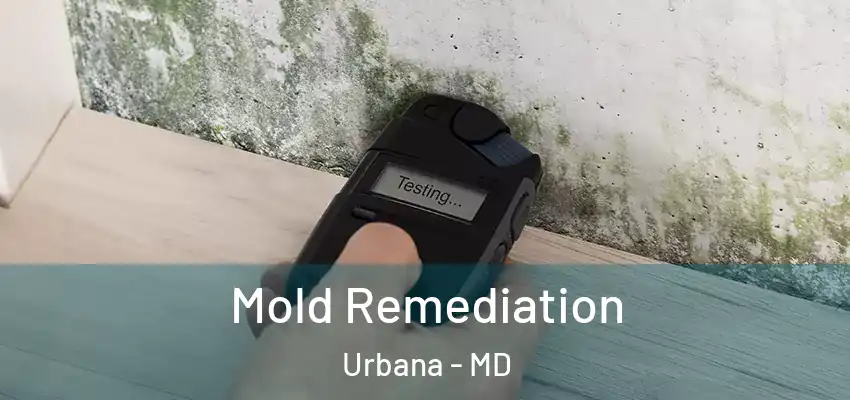  Mold Remediation Urbana - MD