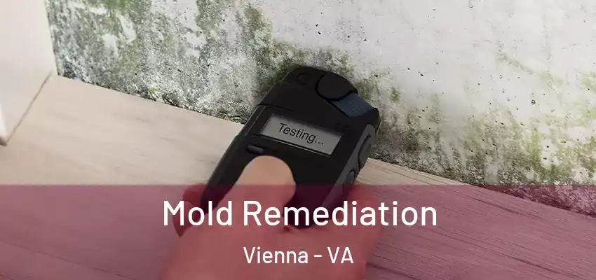 Mold Remediation Vienna - VA