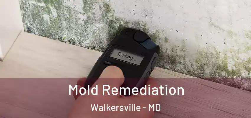 Mold Remediation Walkersville - MD
