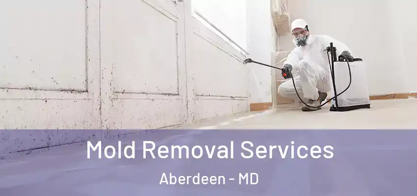  Mold Removal Services Aberdeen - MD