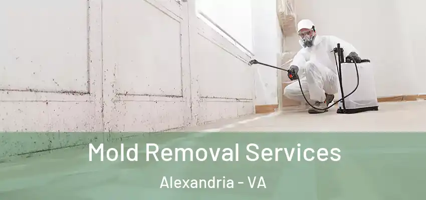 Mold Removal Services Alexandria - VA