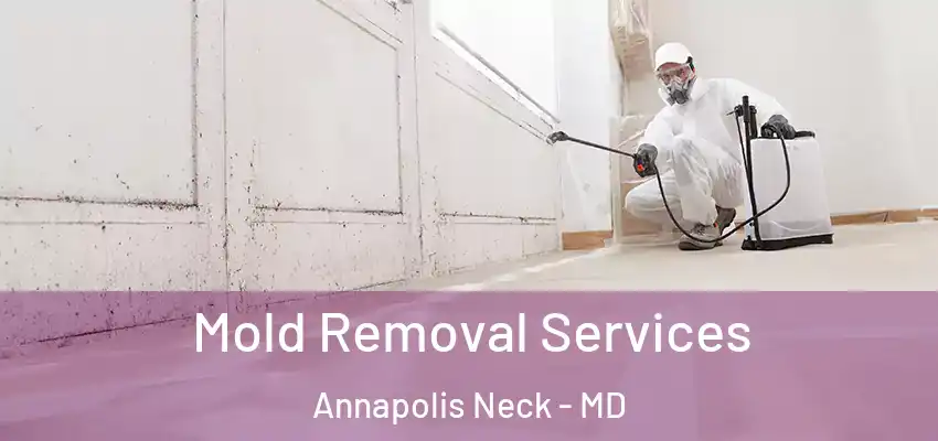  Mold Removal Services Annapolis Neck - MD