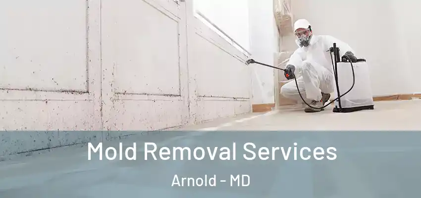Mold Removal Services Arnold - MD