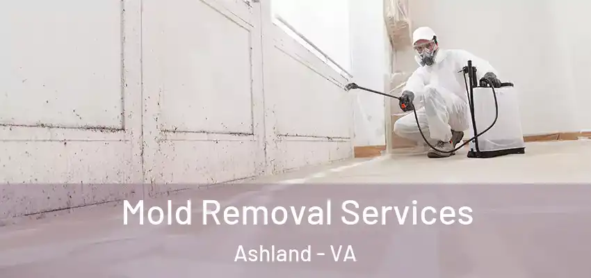 Mold Removal Services Ashland - VA