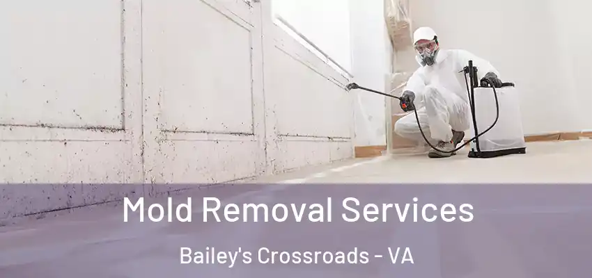 Mold Removal Services Bailey's Crossroads - VA