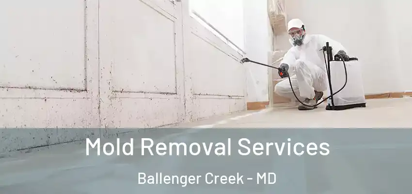  Mold Removal Services Ballenger Creek - MD